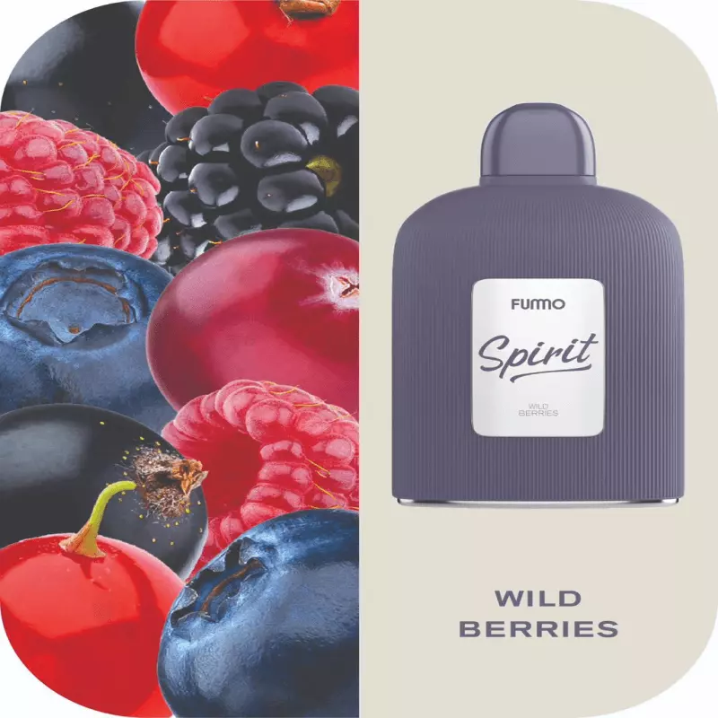 پاد یکبار مصرف فومو بری وحشی FUMMO WILD BERRIES 7000