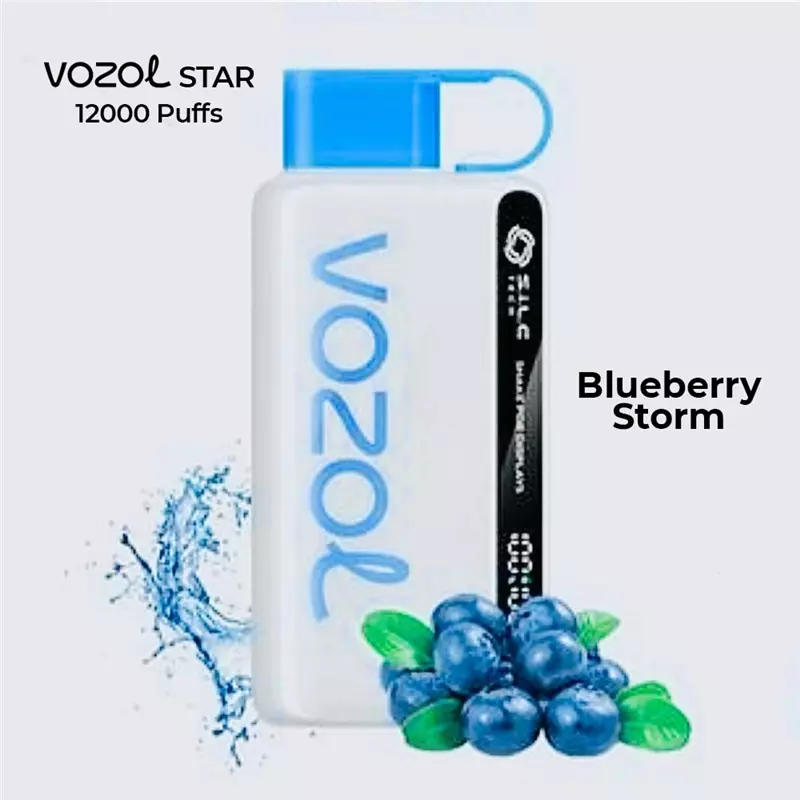 پاد یکبار مصرف ووزول بلوبری VOZOL BLUEBERRY STORM 12000