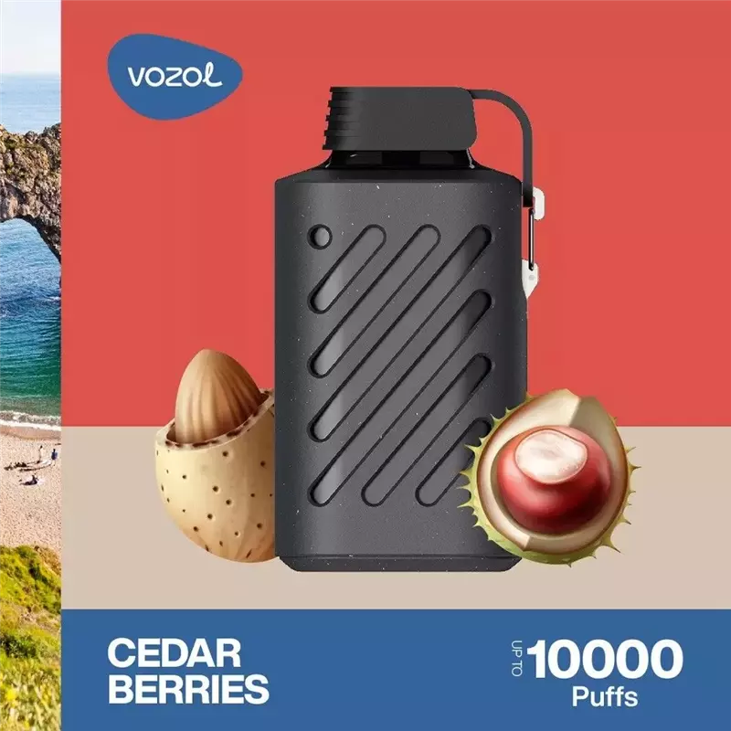 پاد یکبار مصرف ووزول سدر و بادام VOZOL CEDAR BERRIES 10000